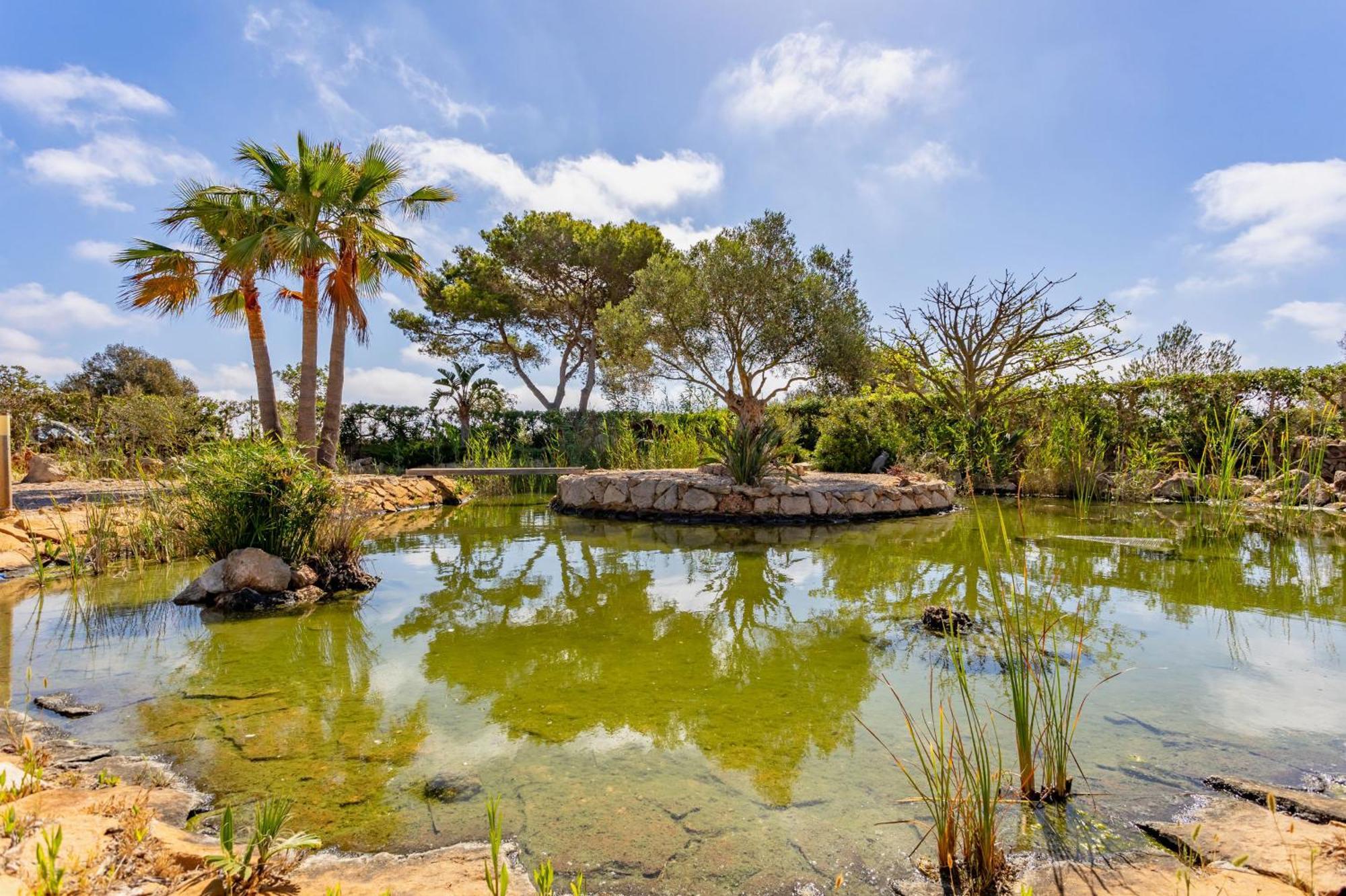 Can Talaia By Dracmallorca Cala Figuera  Exterior foto